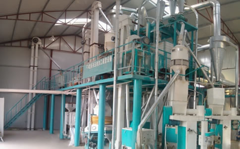 玉米糝加工設備